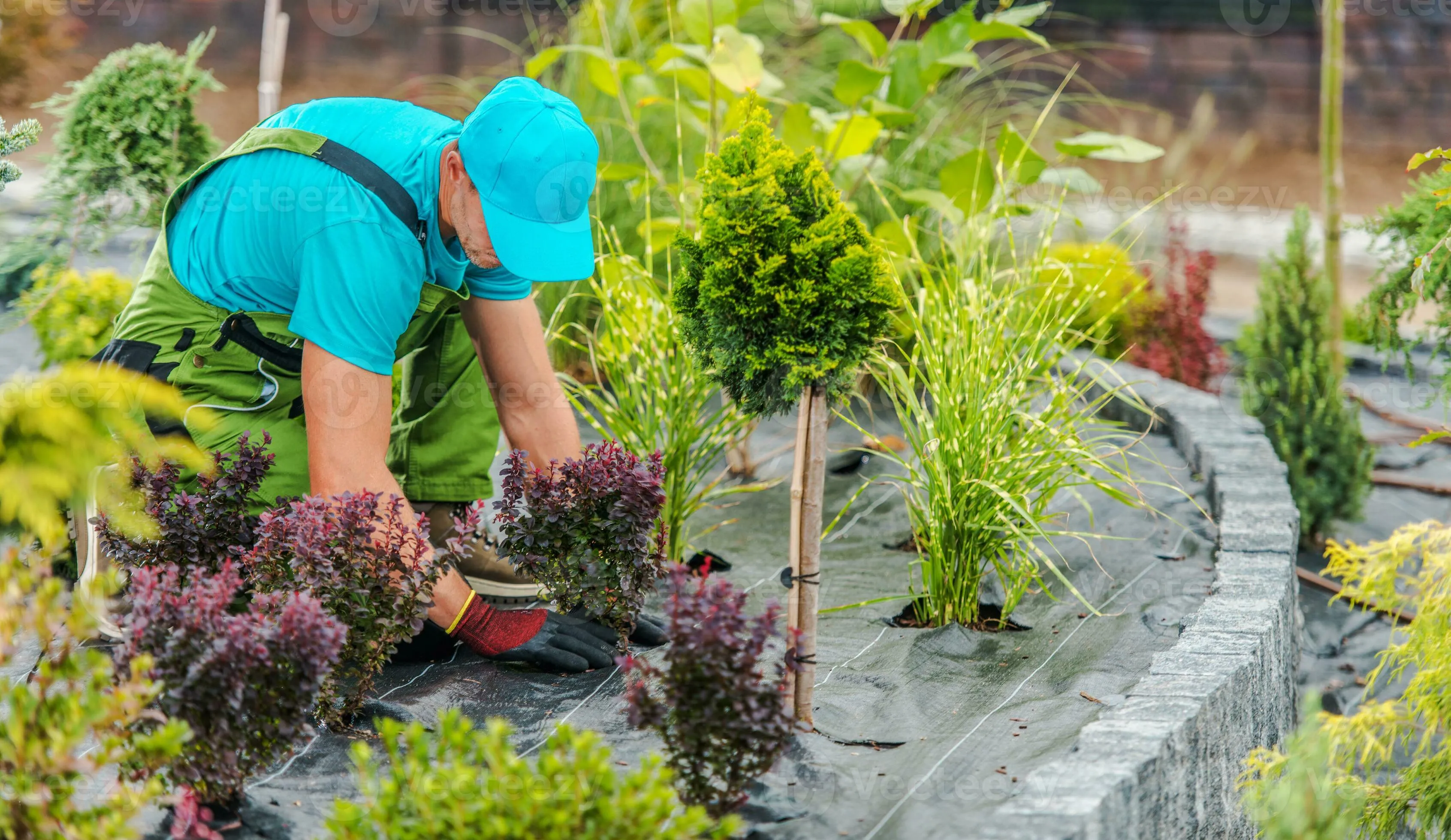 Gardening & Landscaping - Professional Electrician Service